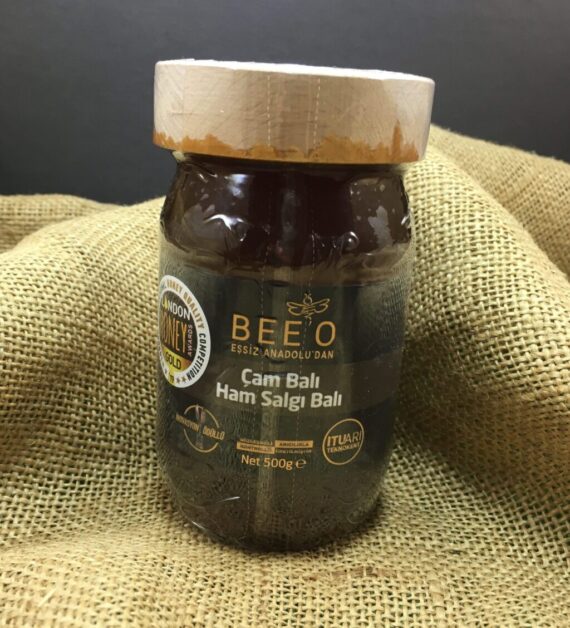 BEEO ÇAM 500